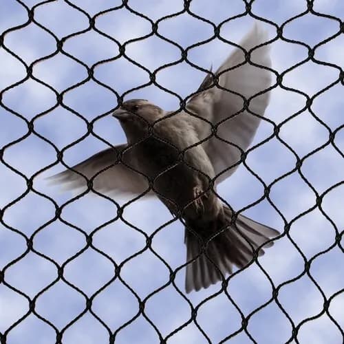Bird protection nets