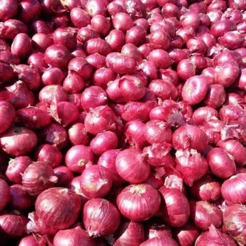 onion
