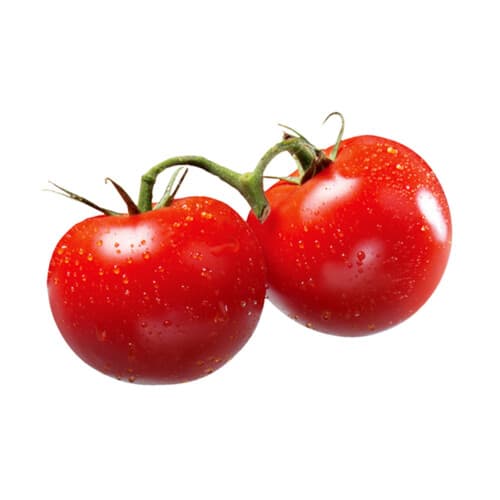 Tomato