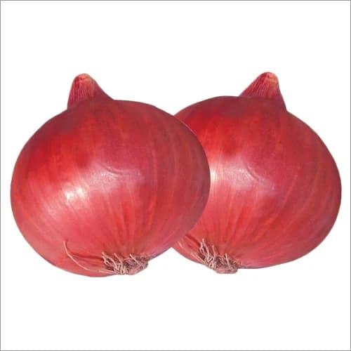 Onion