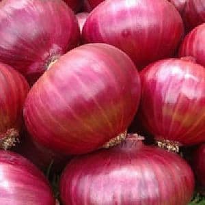 onion