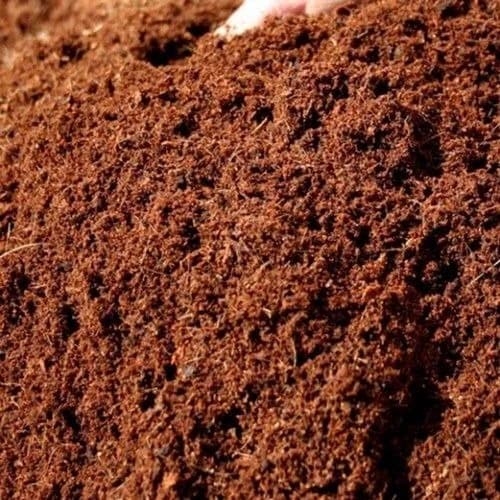 Coir Pith