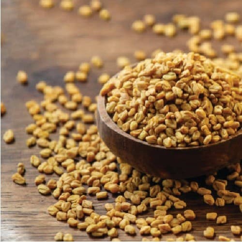 Fenugreek