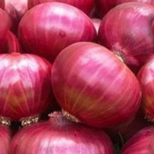 Pink Onion