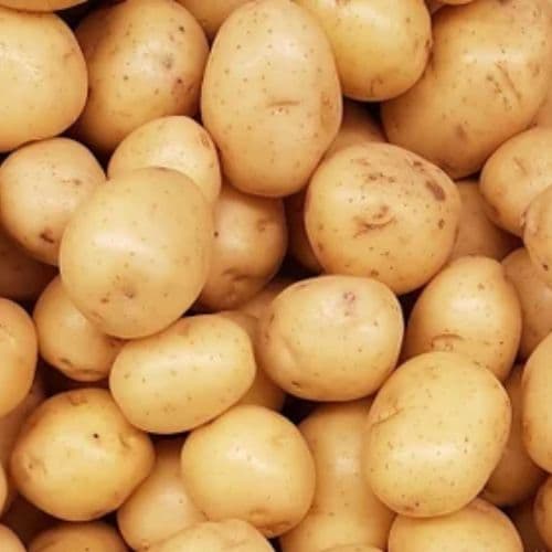 potato