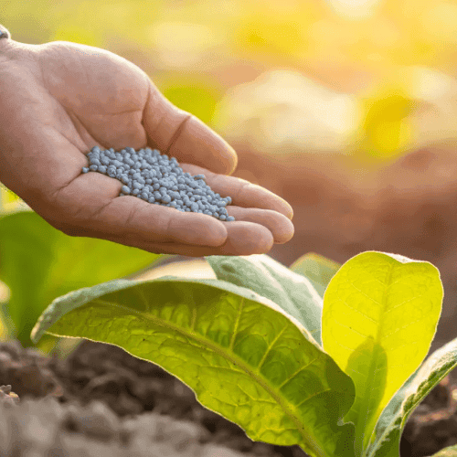 Fertilizer