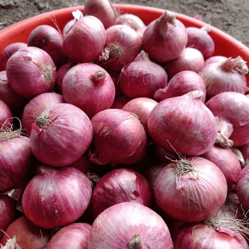 Onion