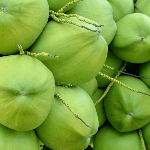 TENDER COCONUT