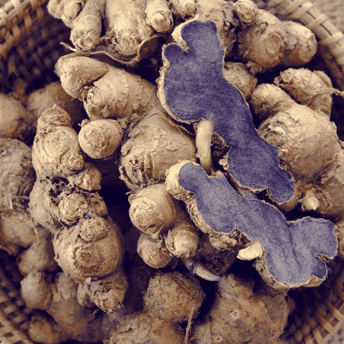 Black Ginger