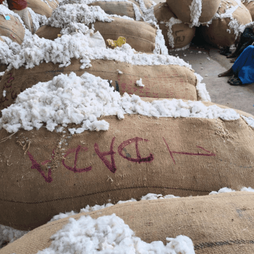 Raw Cotton