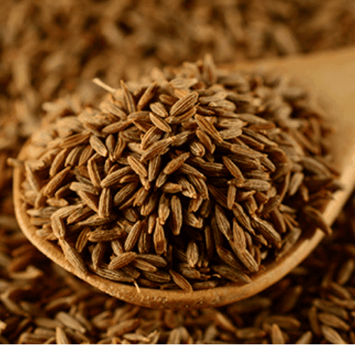 cummin seeds