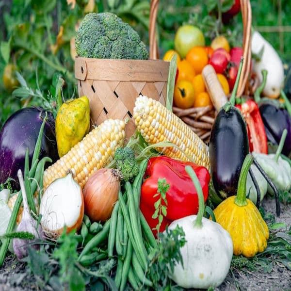 Fresh Vegetables & Fruits