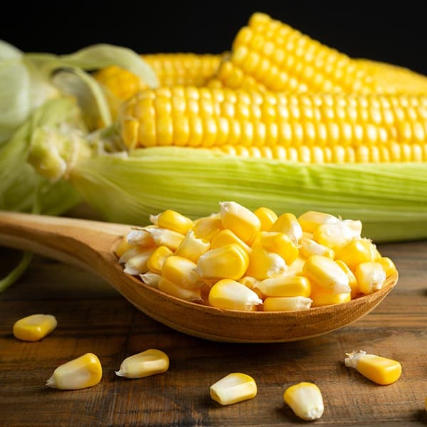 Organic Maize