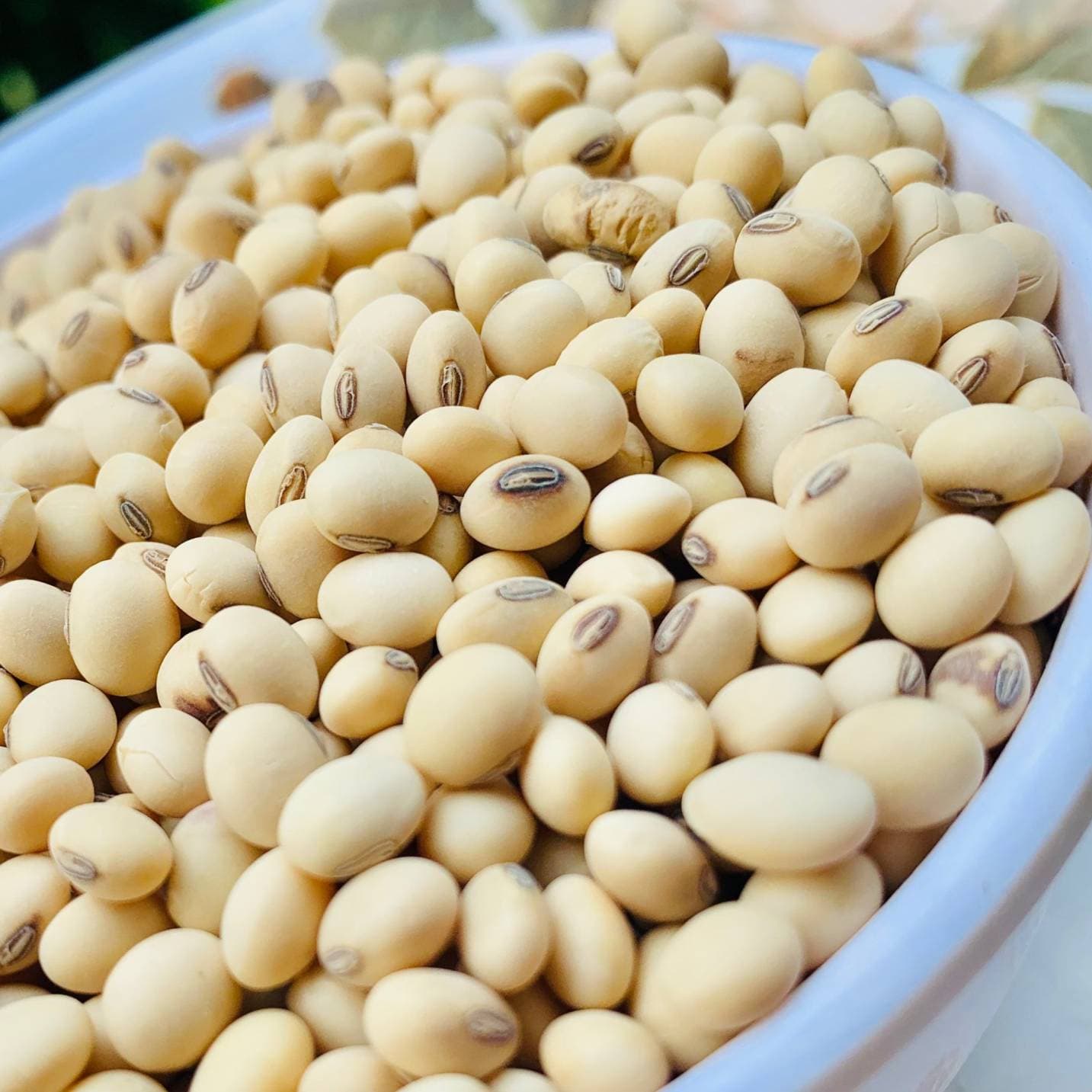 Soyabeans