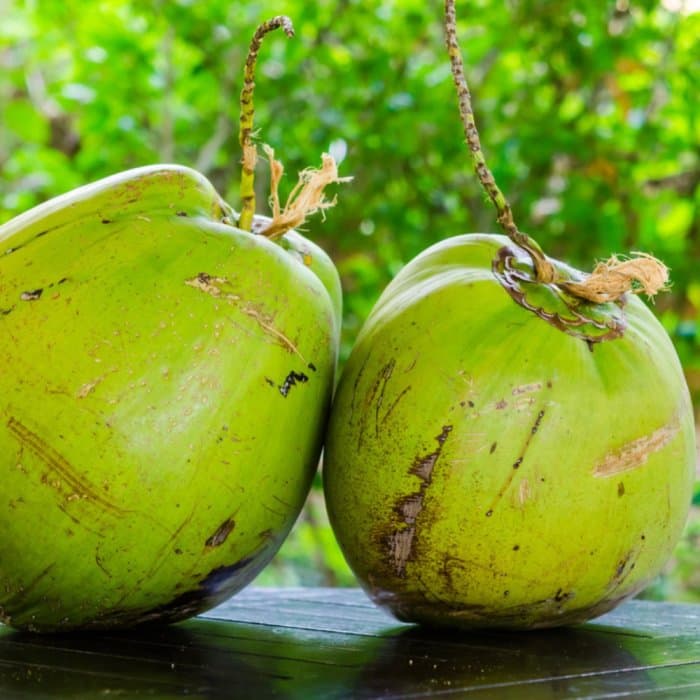 Tender Coconut