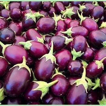Brinjal