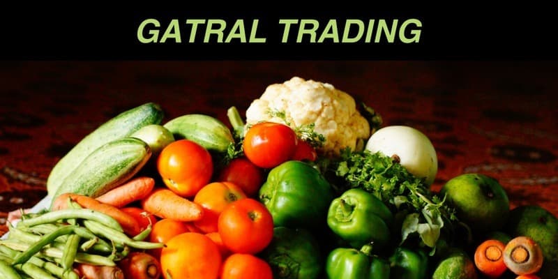 GATRAL EXPORTS Banner 2