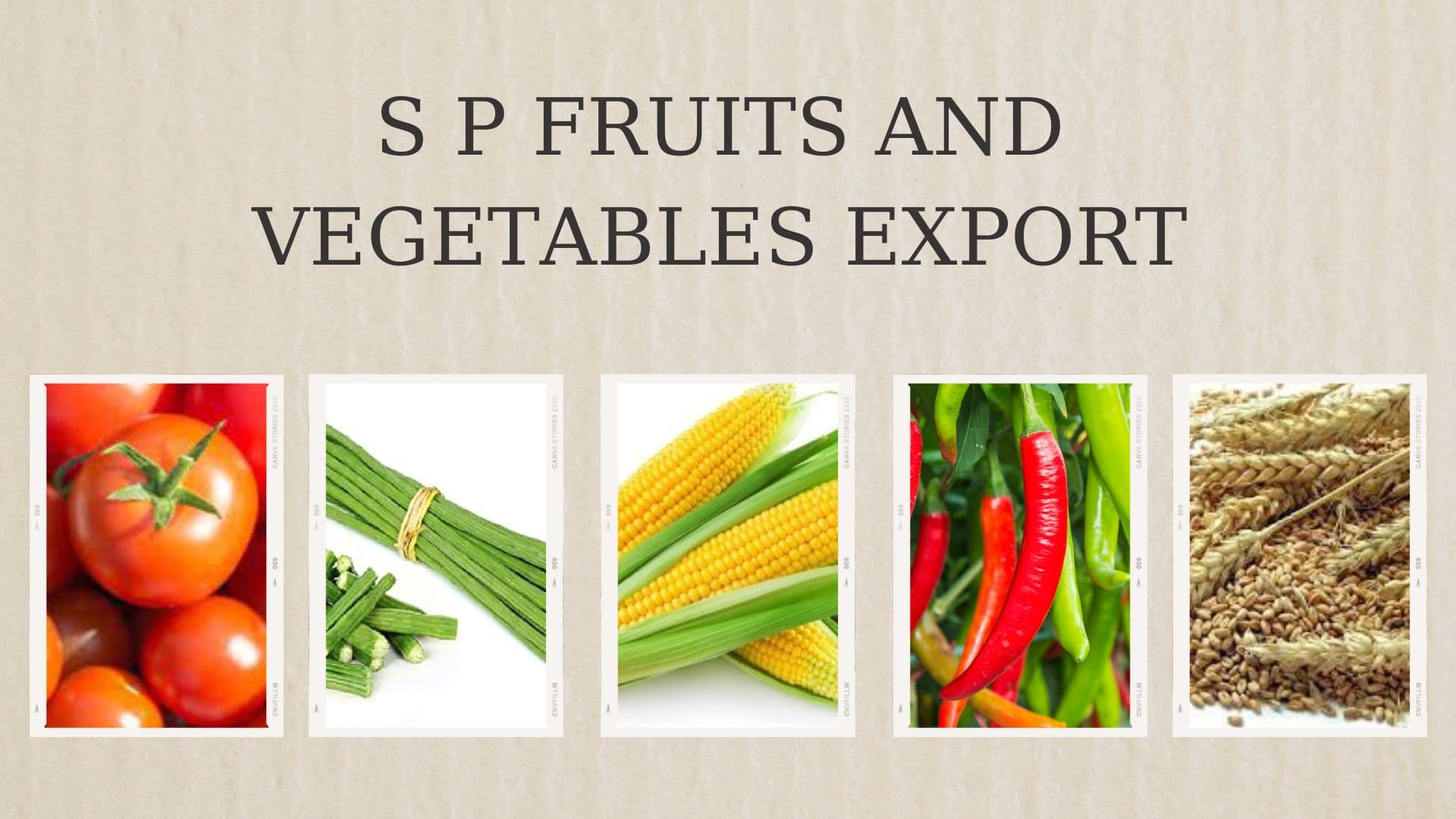 S P FRUITS AND VEGETABLES EXPORT Banner