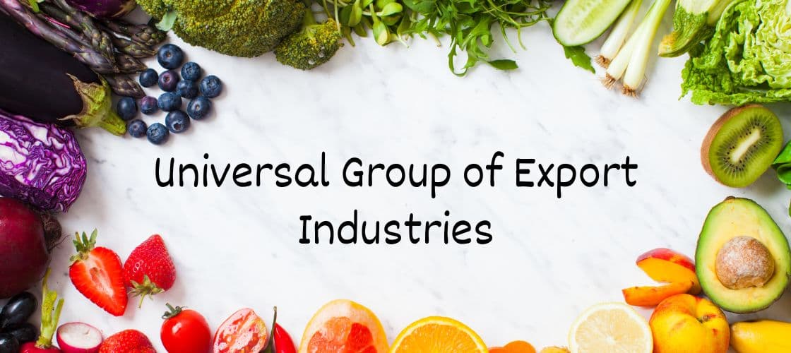 Universal Group of Exports Industries Banner