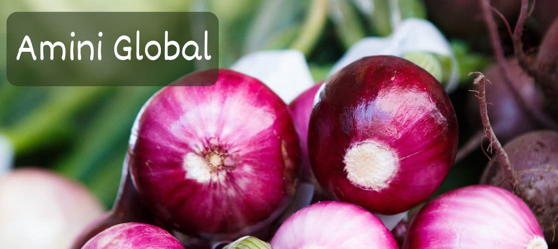 Amini Global Banner