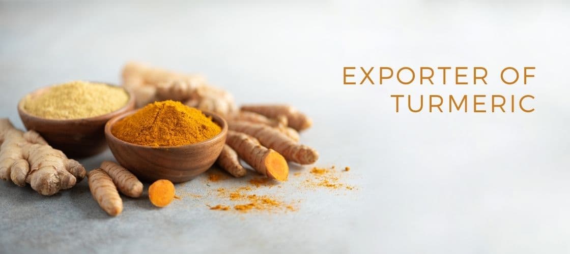 DALUNAR EXPORTS LLP Banner 1