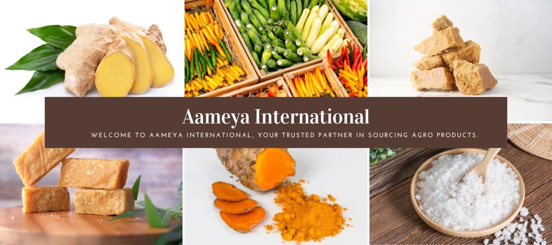 AAMEYA INTERNATIONAL Banner