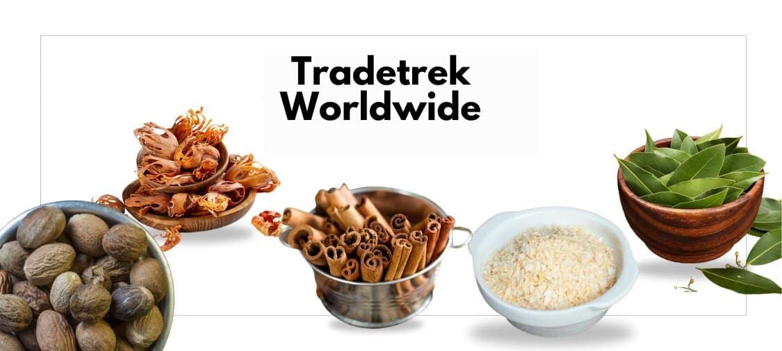 Tradetrek Worldwide Banner 1