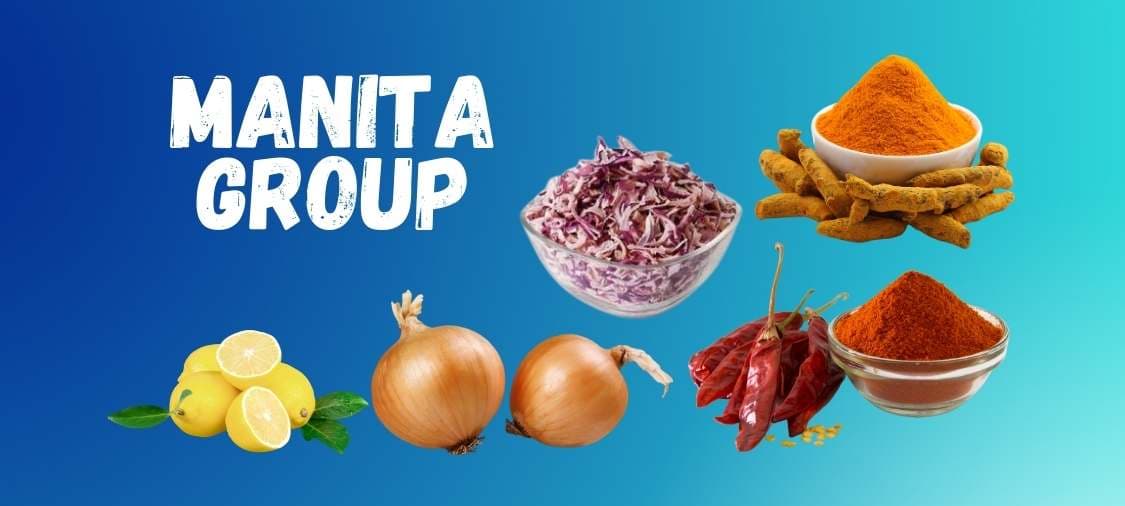 Manita group Banner
