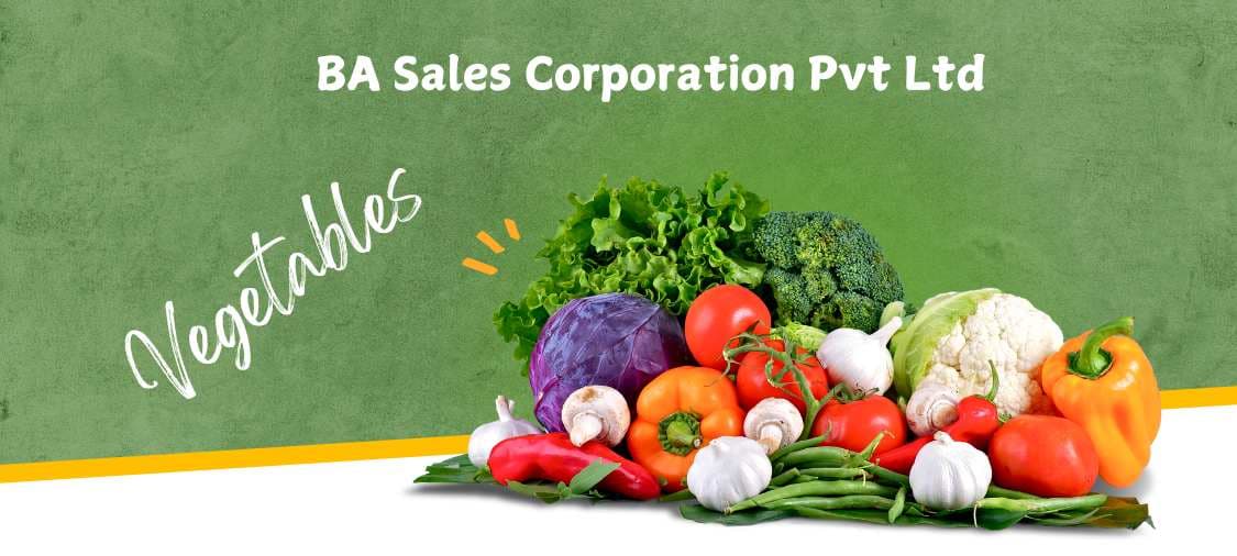BA Sales corporation pvt ltd Banner