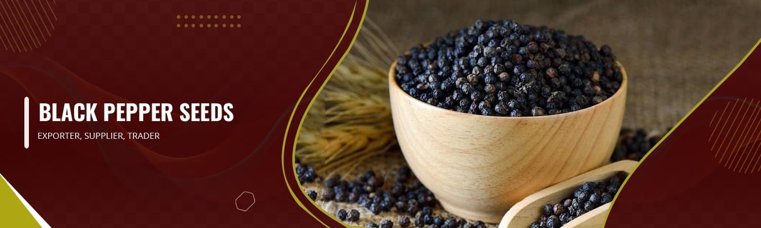 Bahirwal Exports Banner 1