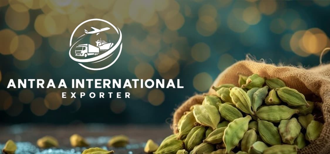 Antraa International Exporter Banner 2