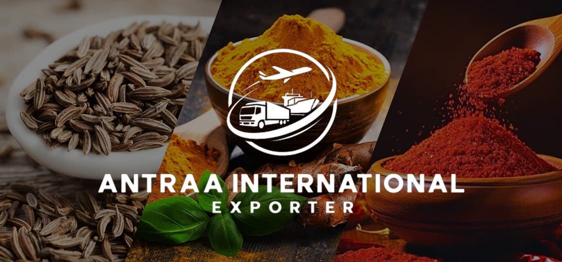Antraa International Exporter Banner 1