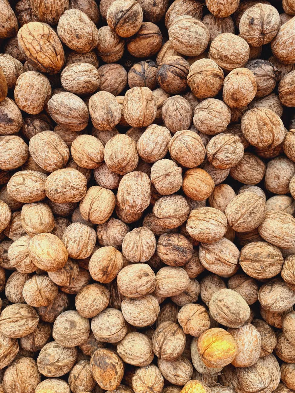 walnuts