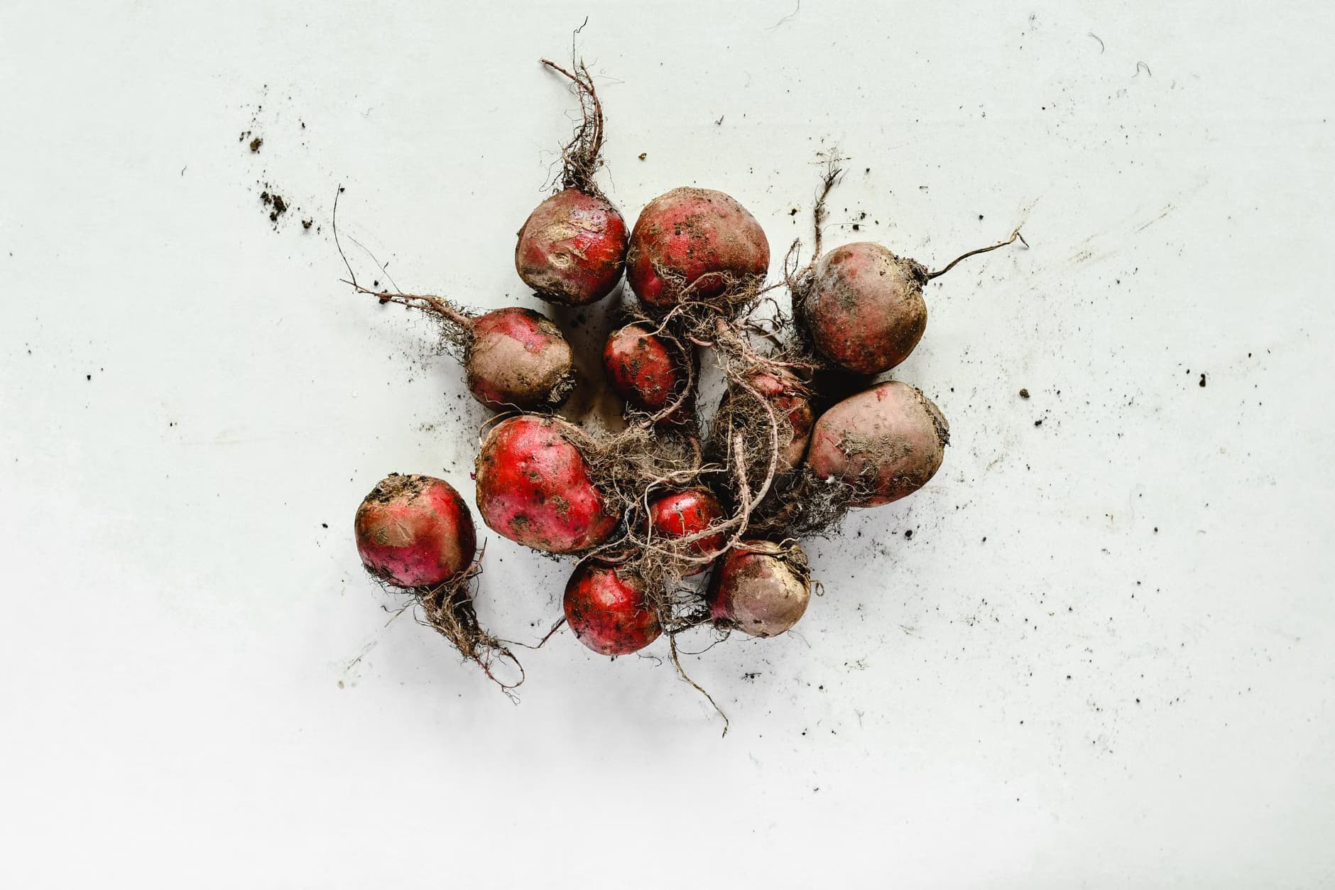 beetroot powder