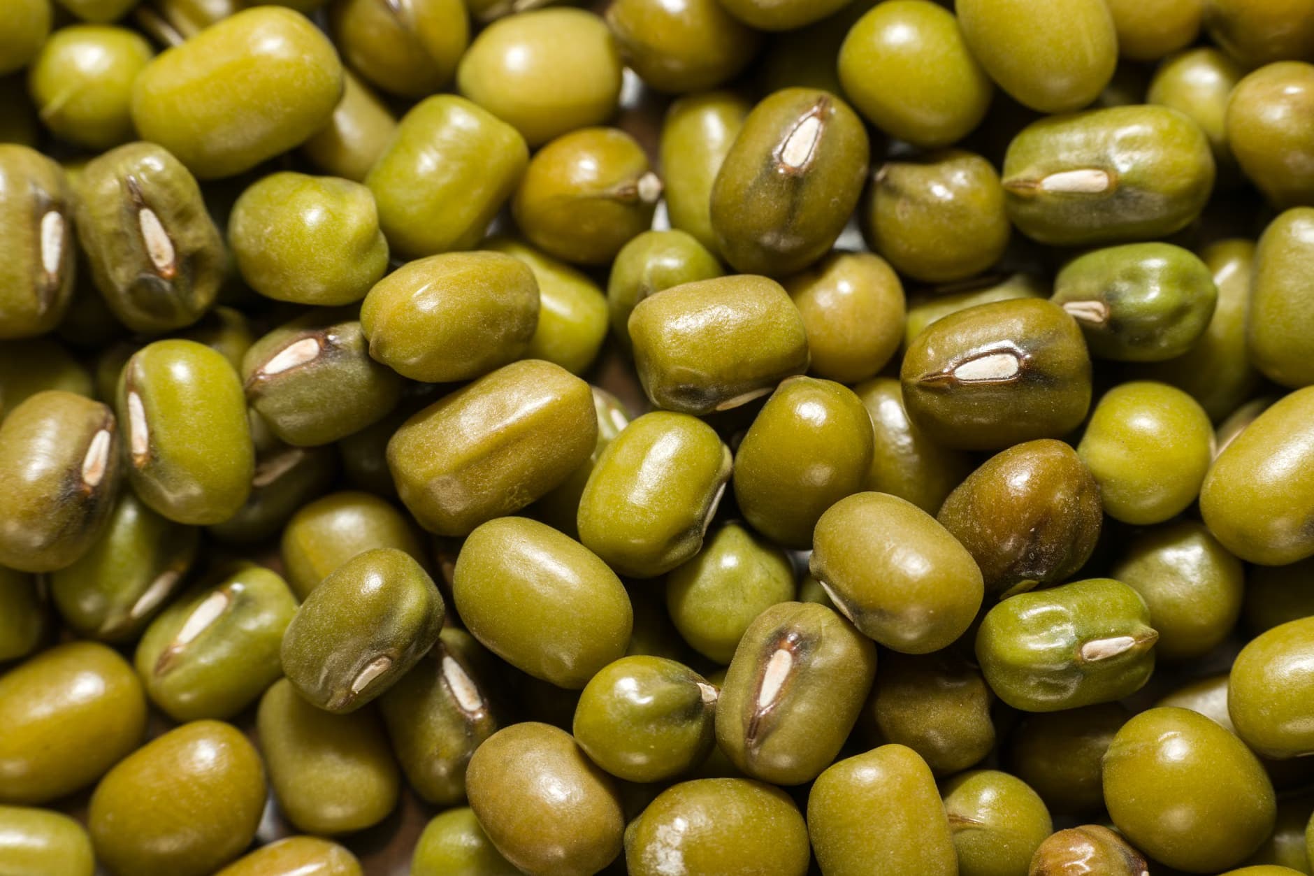 Green gram
