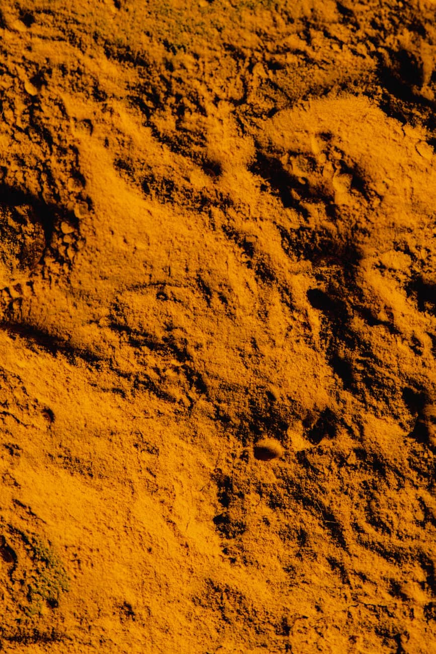 Turmeric Powder