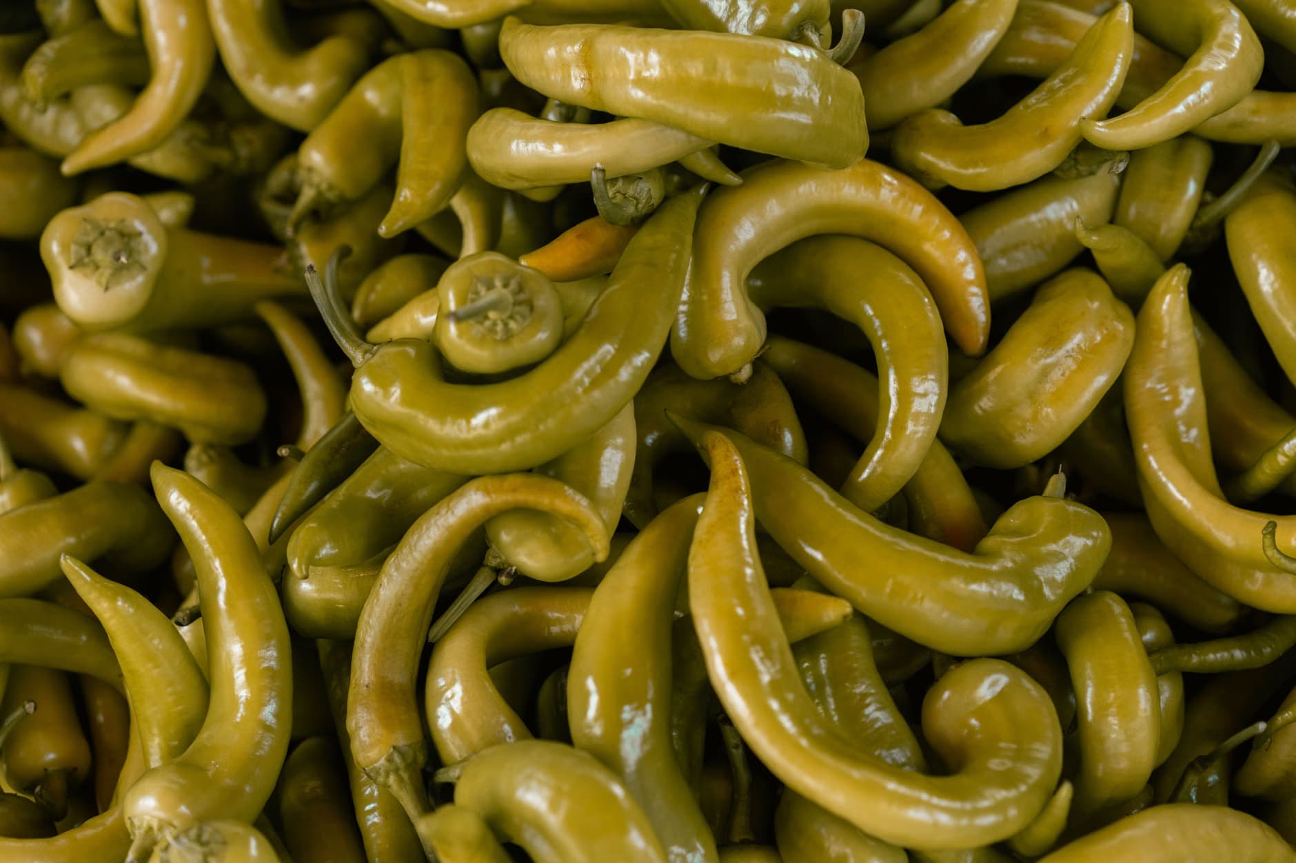 Green chilli G4