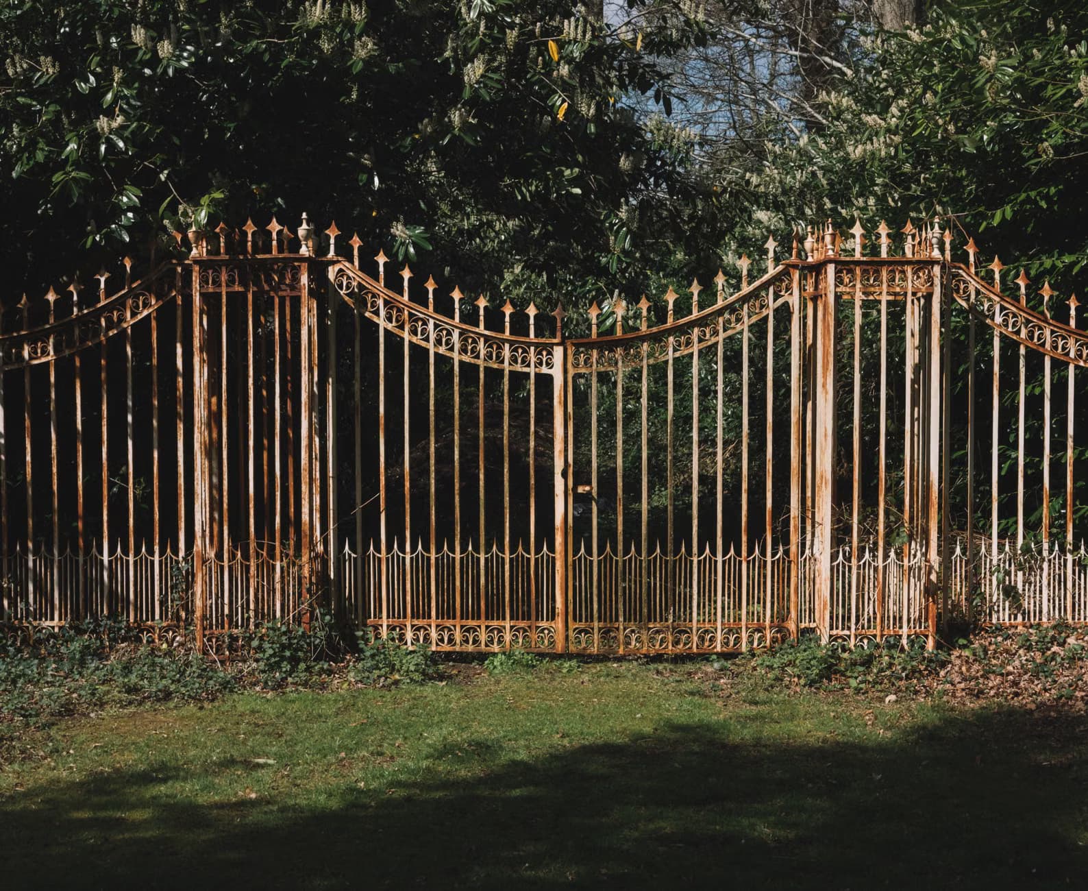 Cast Iron Gate