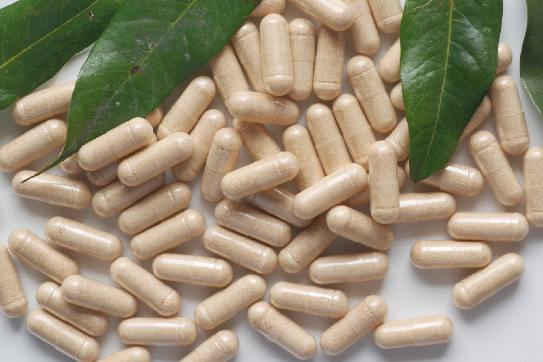 Rosehip Extract Capsules