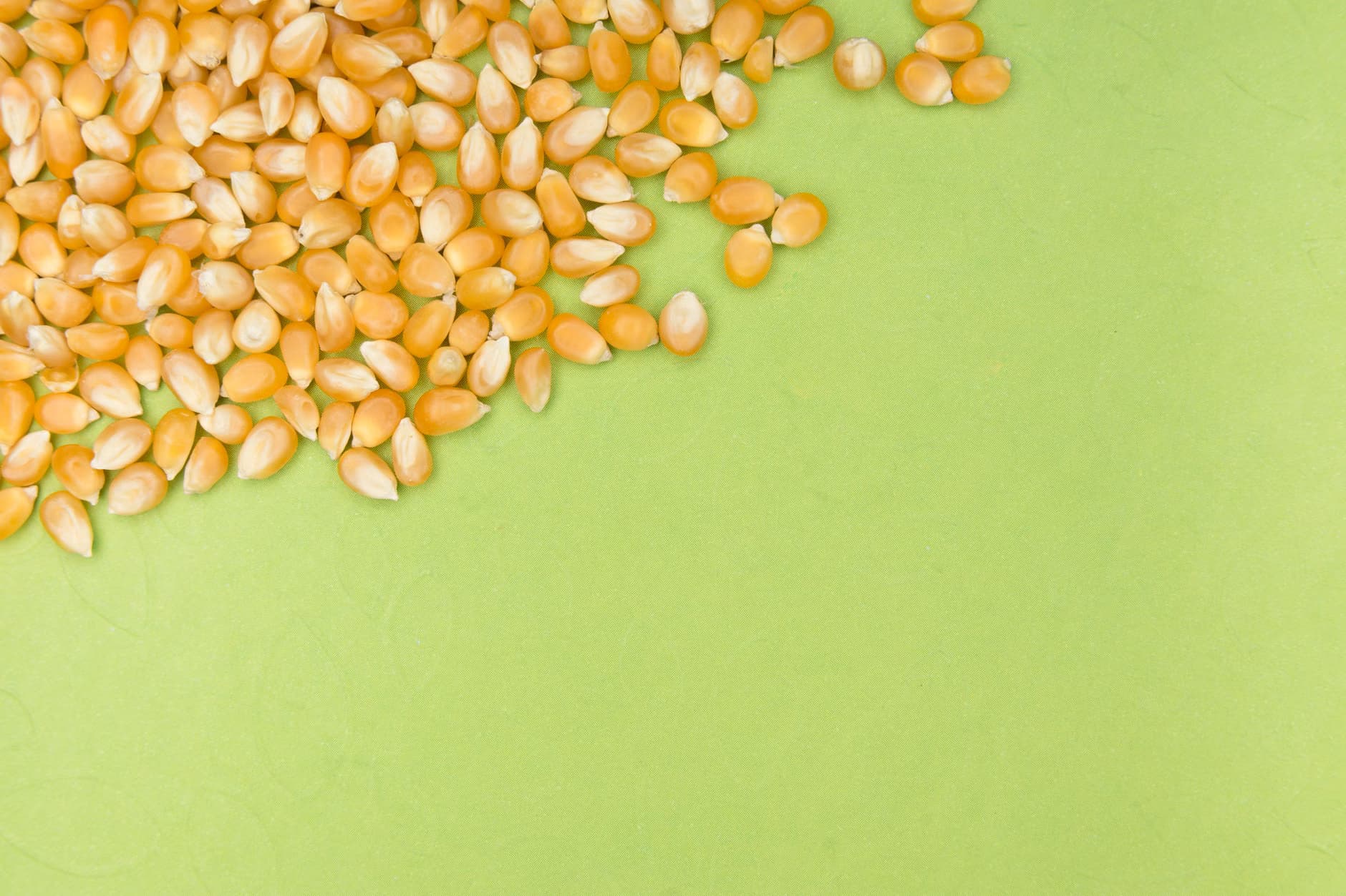 Fresh Corn Seeds