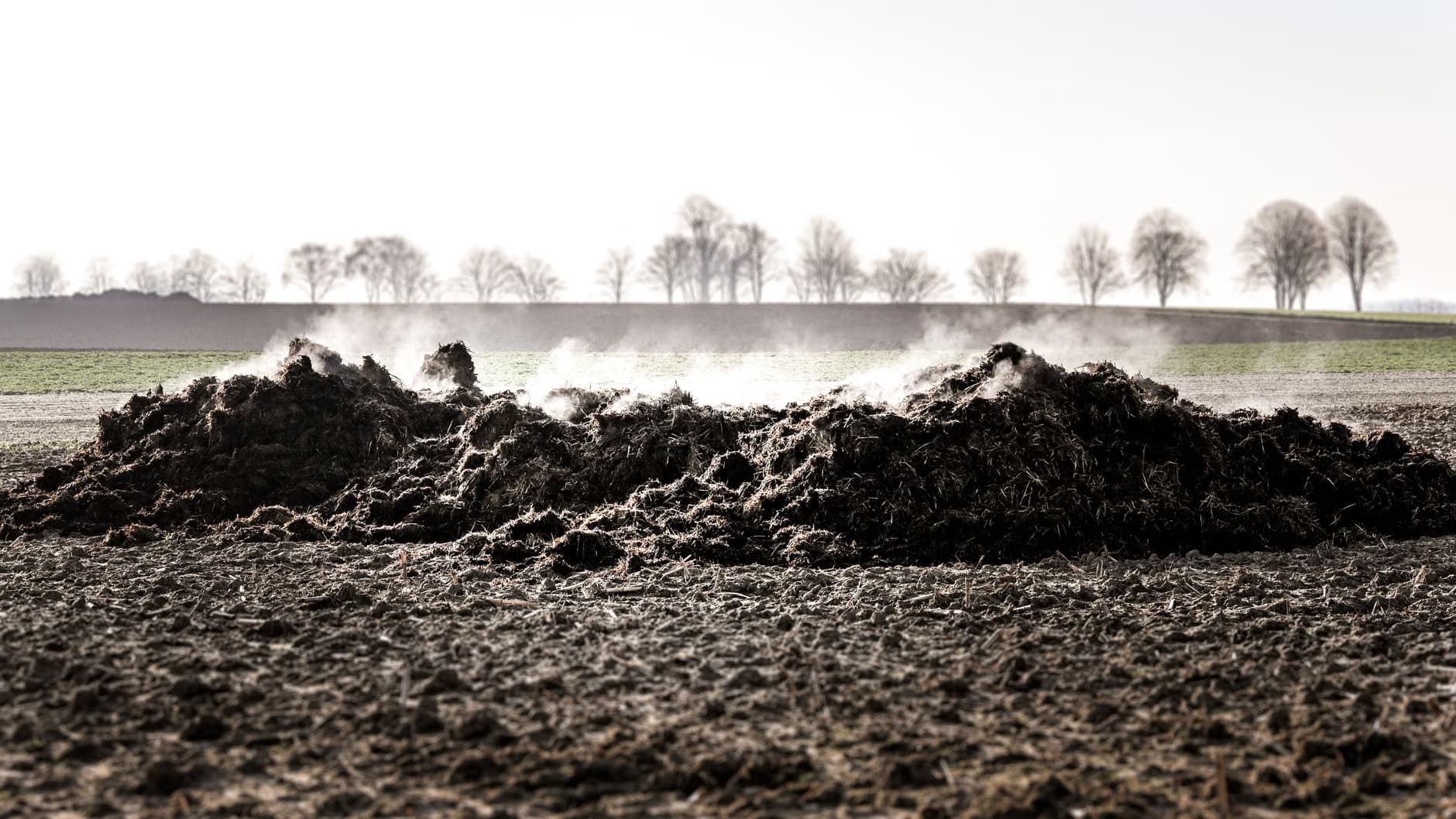 Bio Fertilizers