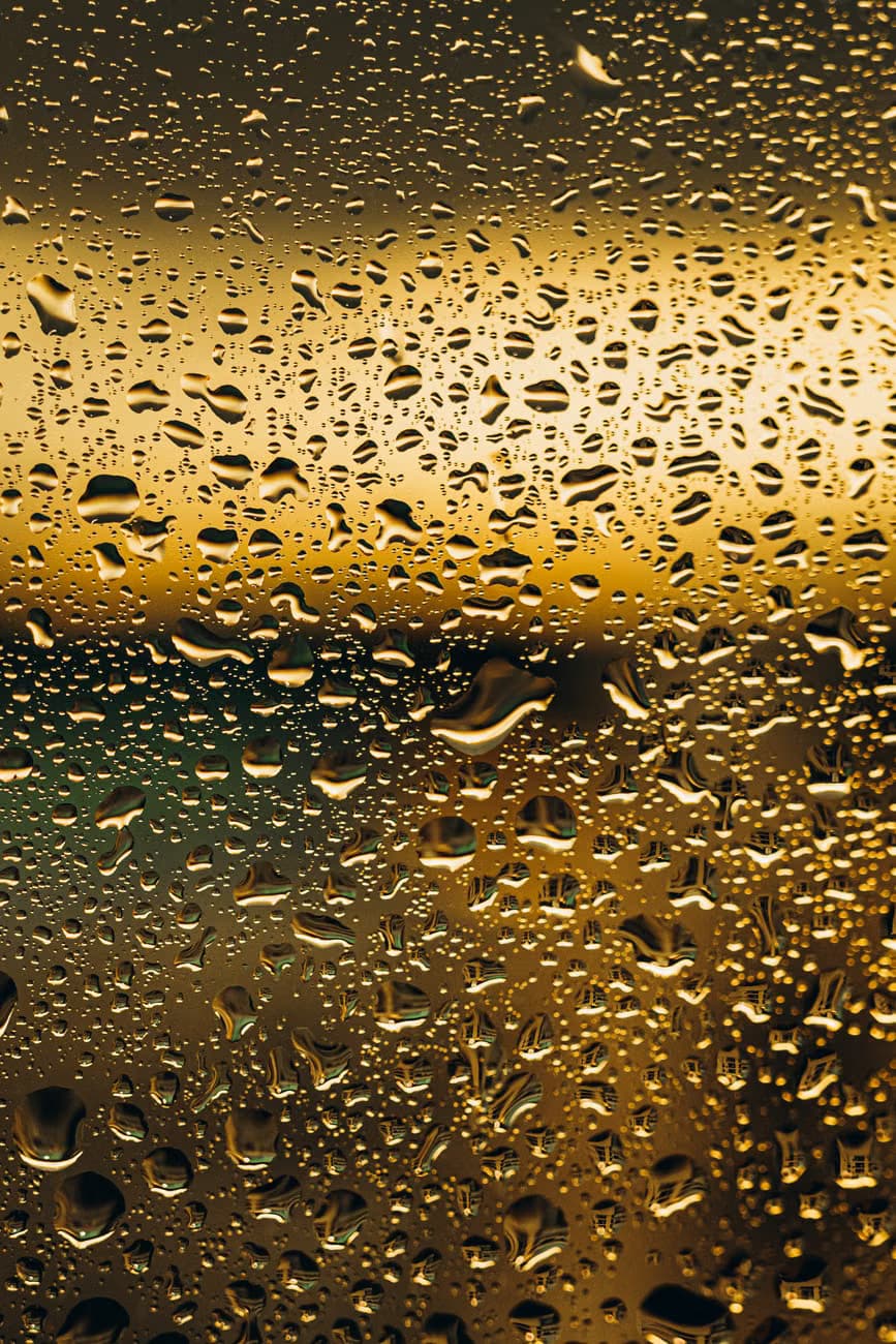 Anand Wet Gold