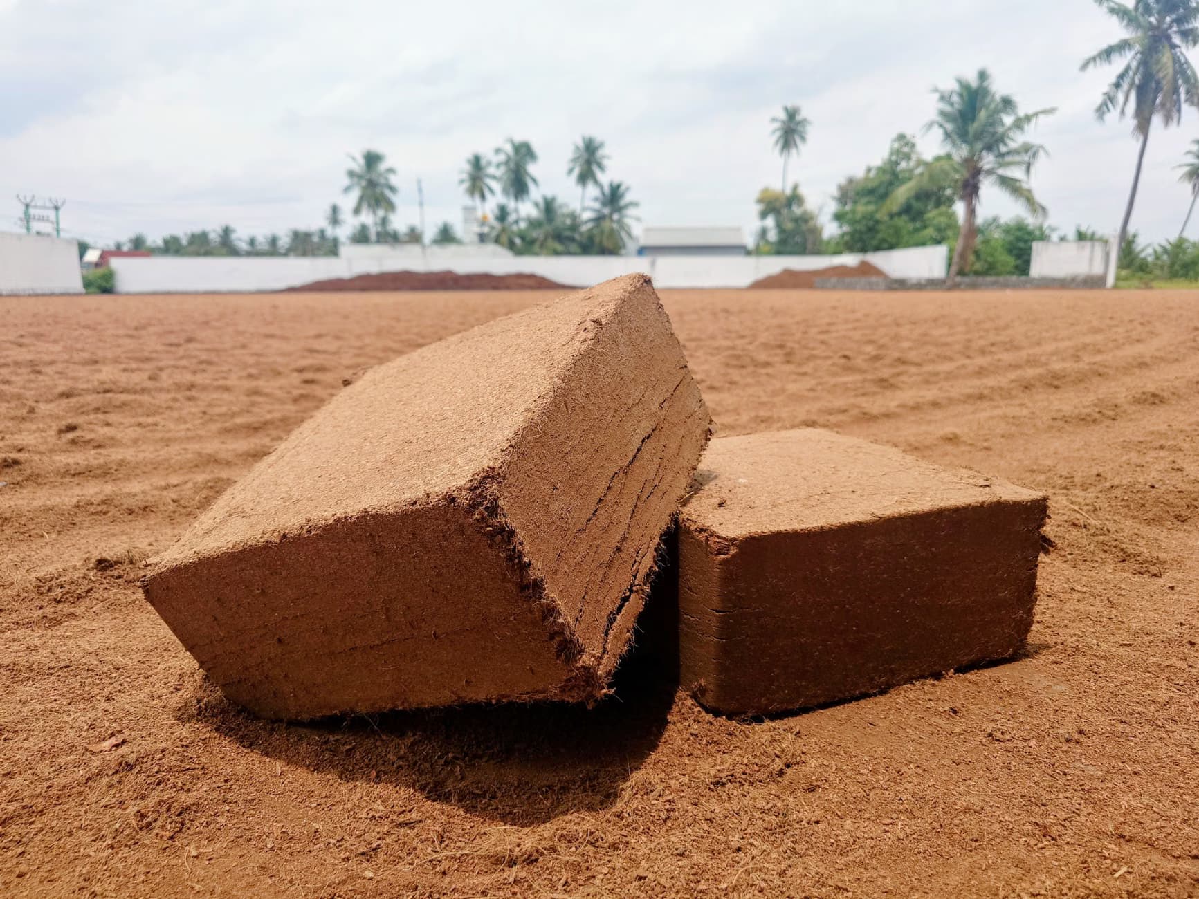 Coir pith blocks