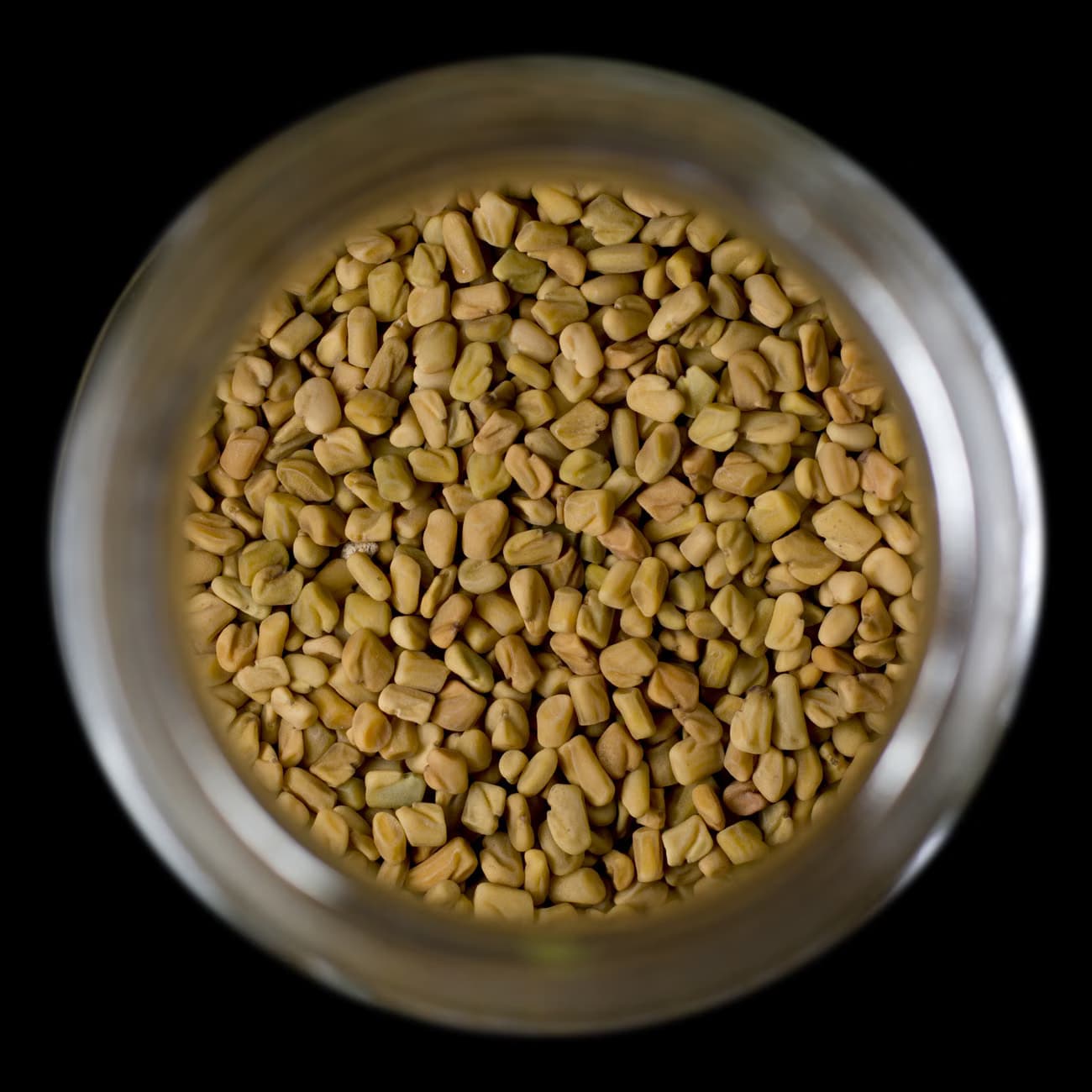 Fenugreek Seeds