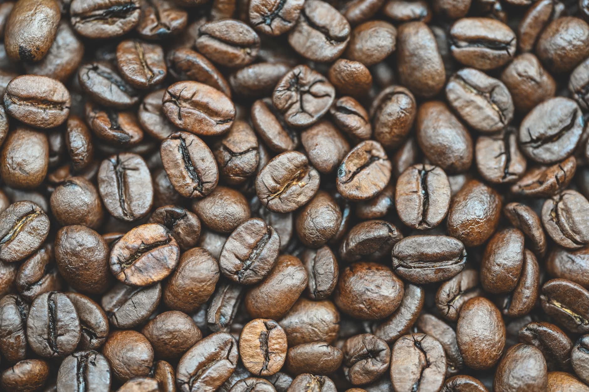 Coffee seeds