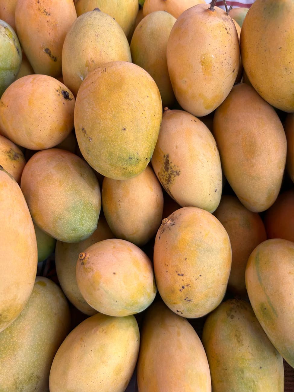 Alphanso Mangoes