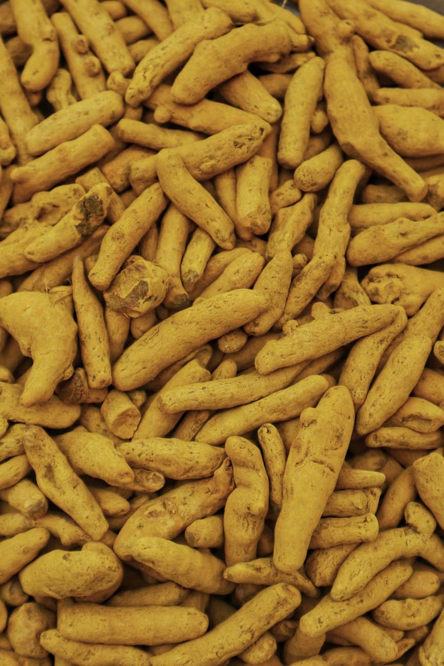Turmeric Fingers