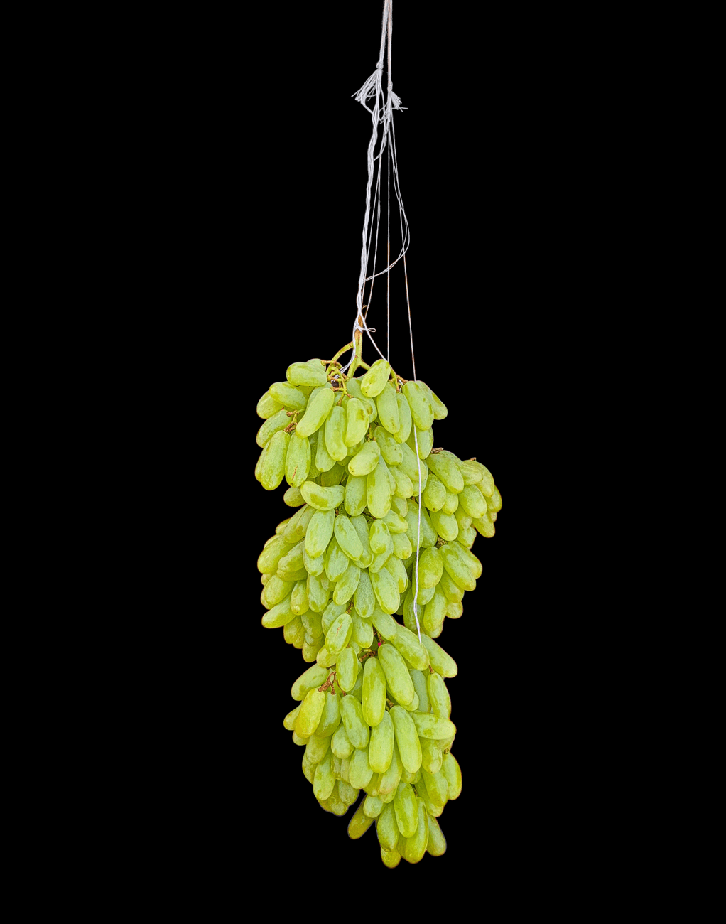 Seedless Black Grapes