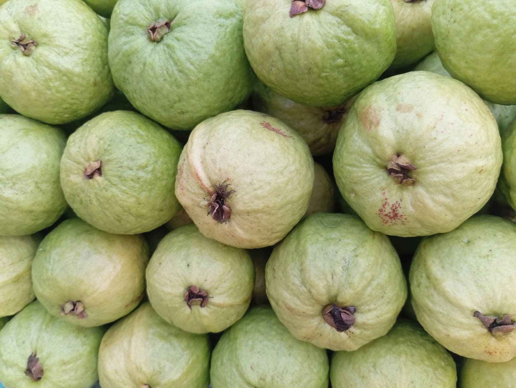 Fresh Thai Guava