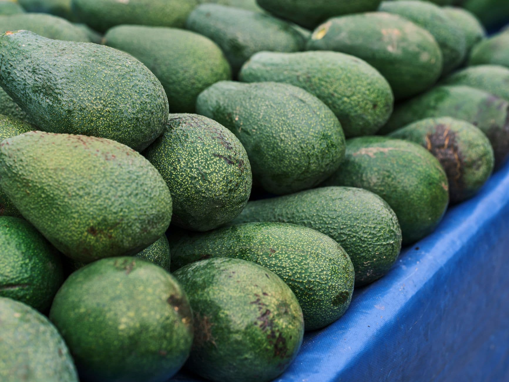 Hass Avocado